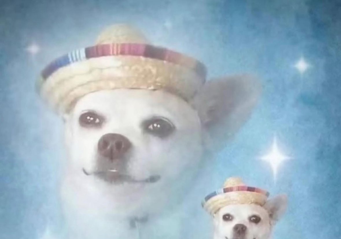 𝙋𝙖𝙡𝙖𝙘𝙚 𝘾𝙡𝙪𝙗 tweet media