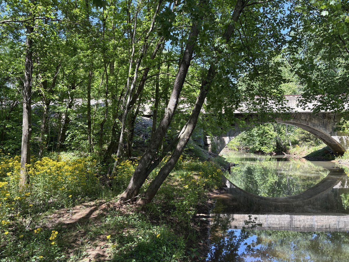 USPrimitively's tweet photo. Beautiful Day https://t.co/tM7MVjXfa6