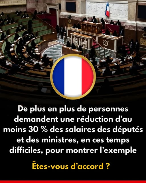 Fleur Morel tweet media