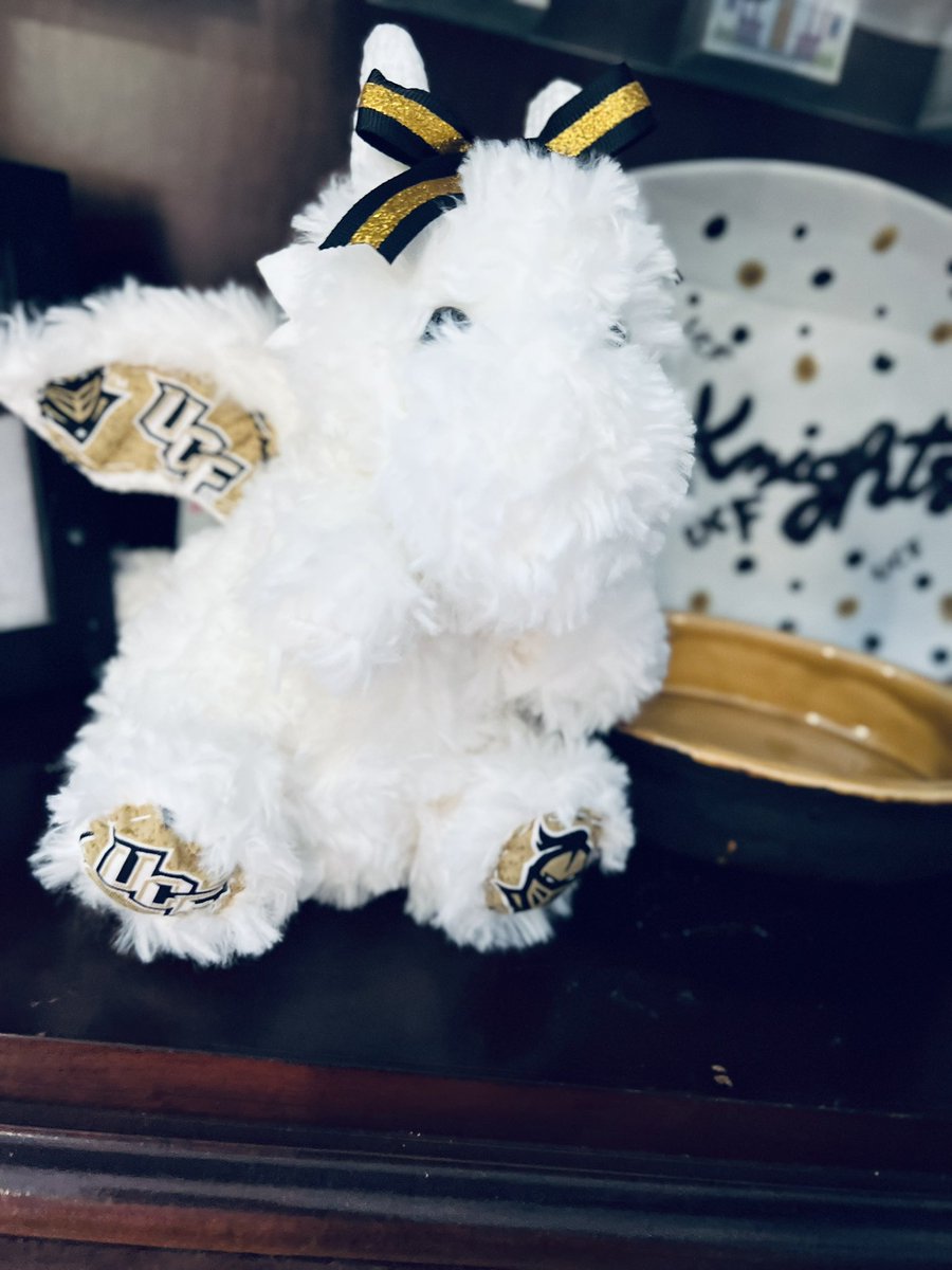 AmandaMSchaffer's tweet photo. Isn’t she perfect?!? A UCF Dragon 💛🖤 I am obsessed ⭐️ #UCF #KNIGHTS https://t.co/9ZPm4ztyse