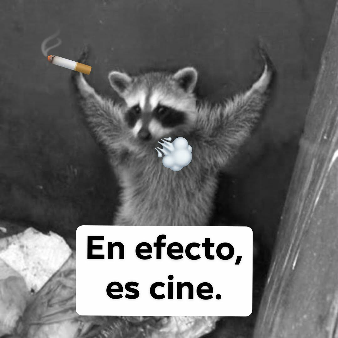 JulzCzar tweet media