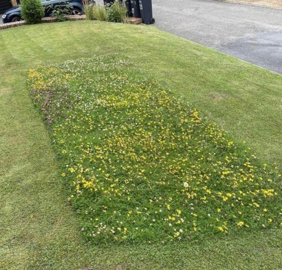 Give A Shit About Nature tweet media