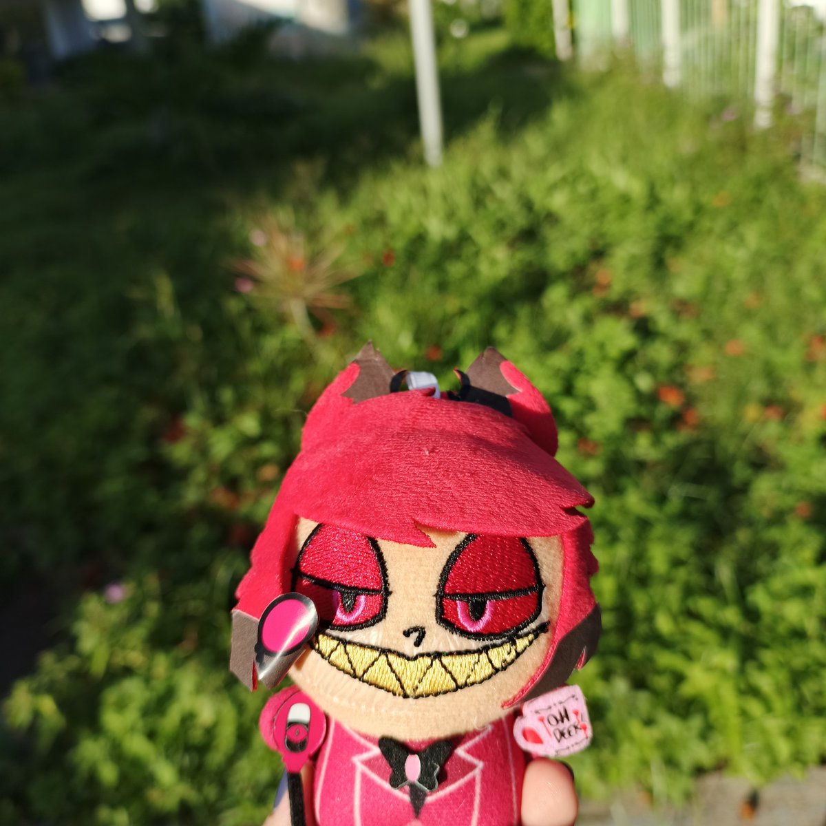 yona ʚଓ ּ ֶָ֢. tweet media