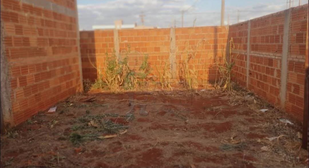 Raphael Memes tweet media