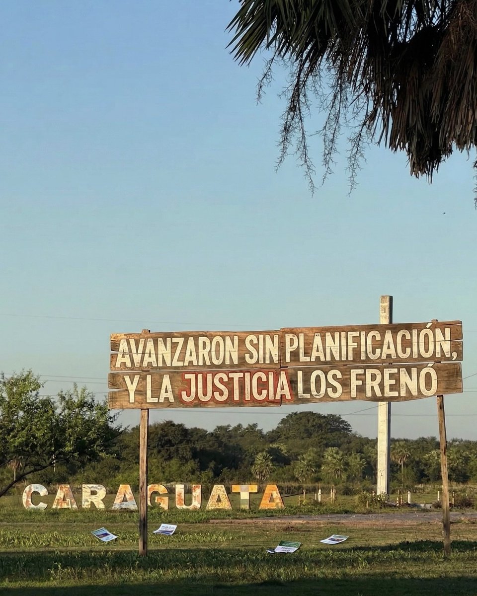 Seba Benitez Molas tweet media