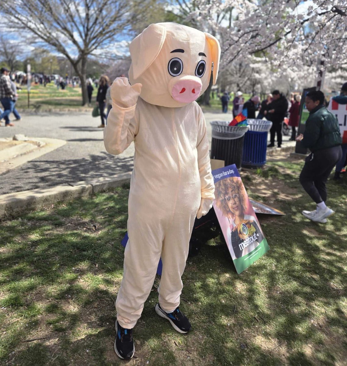 FARMUSA's tweet image. Confirmed appearance by Penny the Pig at this year’s #Fairfax Vegfest! Come meet Penny as she hands out vegan goodies to the young and young-at-heart on Sunday, April 19th at @NWFCU in Herndon, #Virginia!