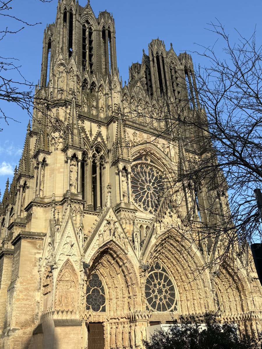 “The Amandalorian” 🏳️‍🌈 tweet media