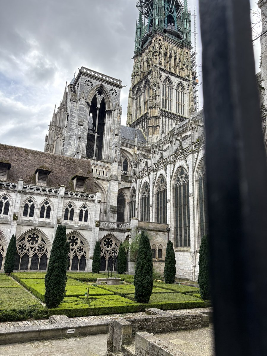 “The Amandalorian” 🏳️‍🌈 tweet media