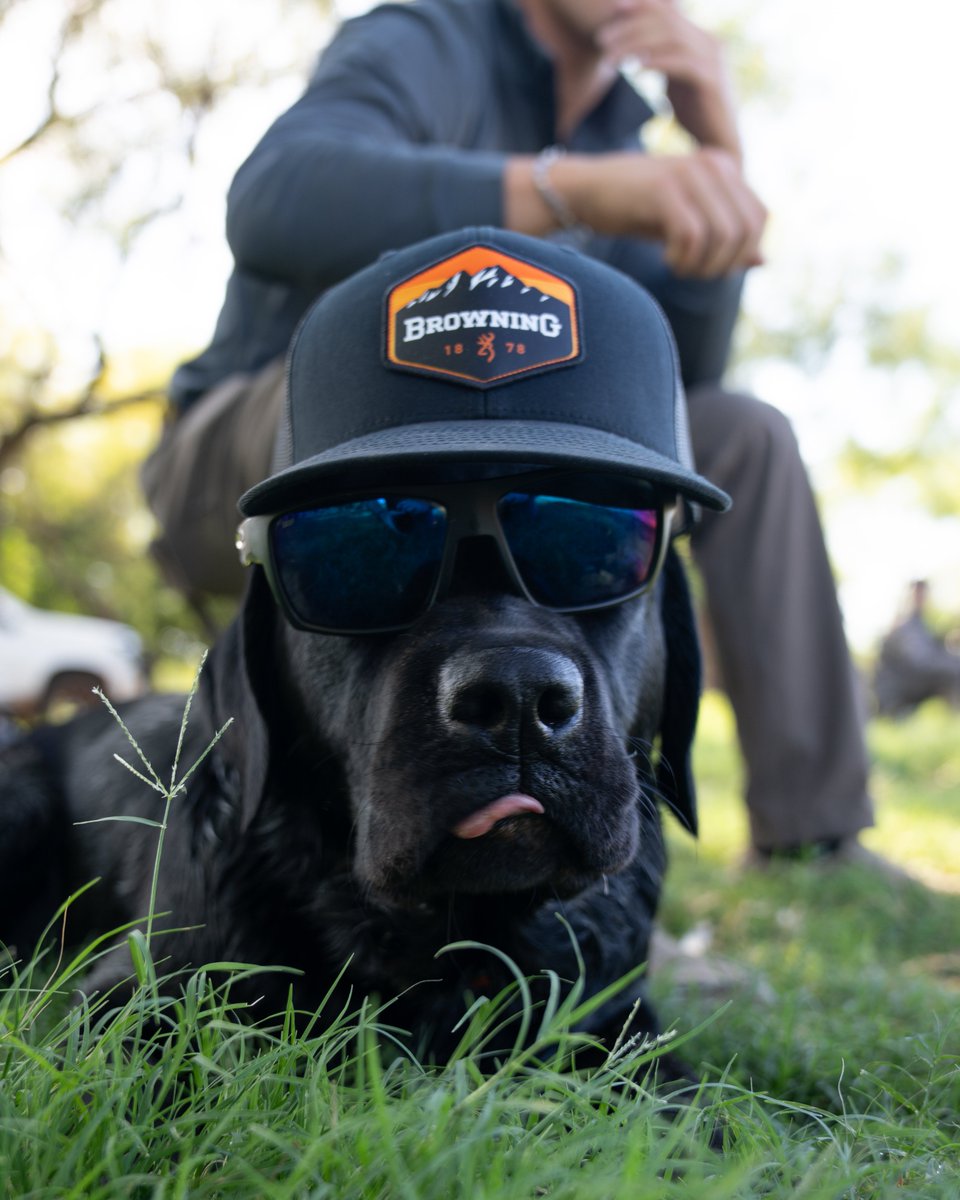 BrowningArms's tweet image. Happy National Pet Day.

#Browning #Pets #thebestthereis