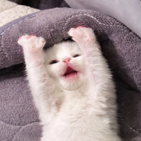 boo. 🍒 tweet media