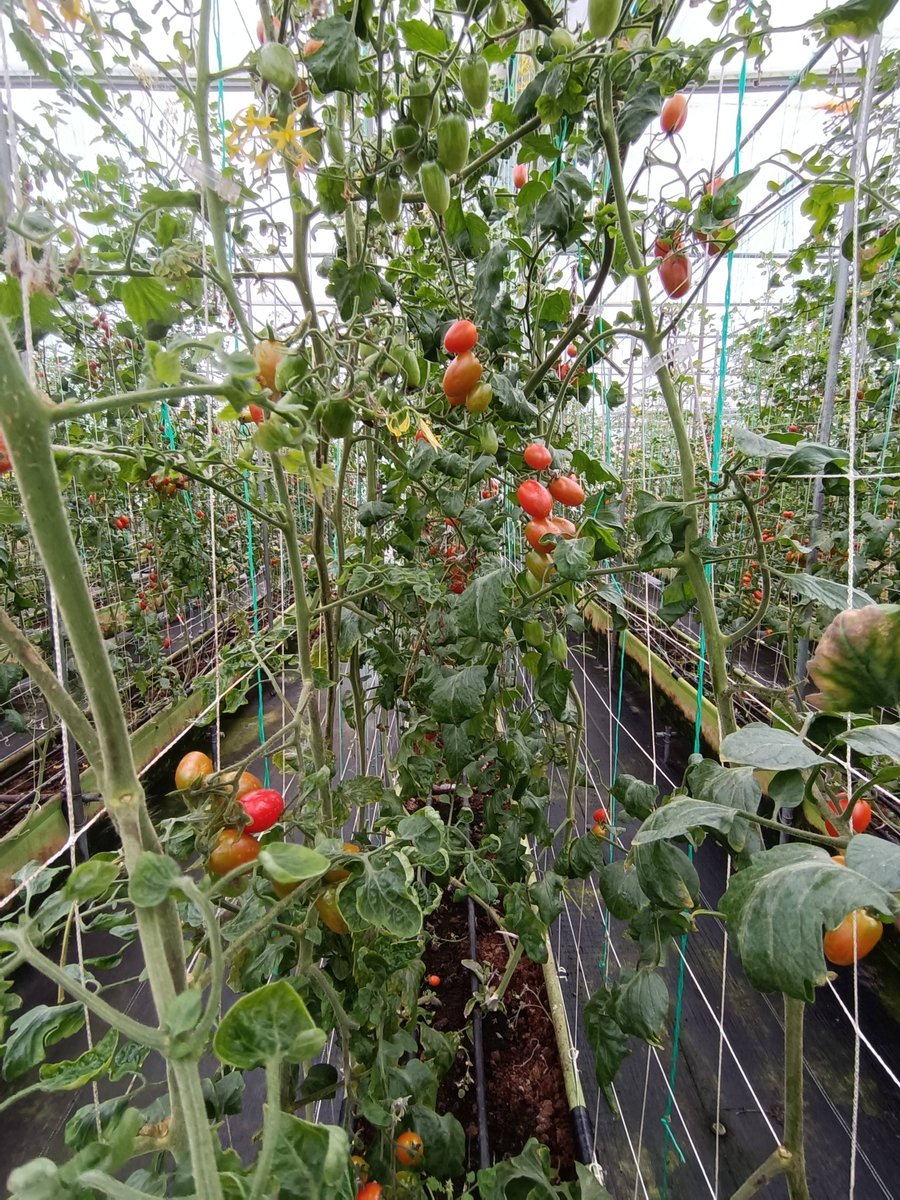 John W. Dean tweet media