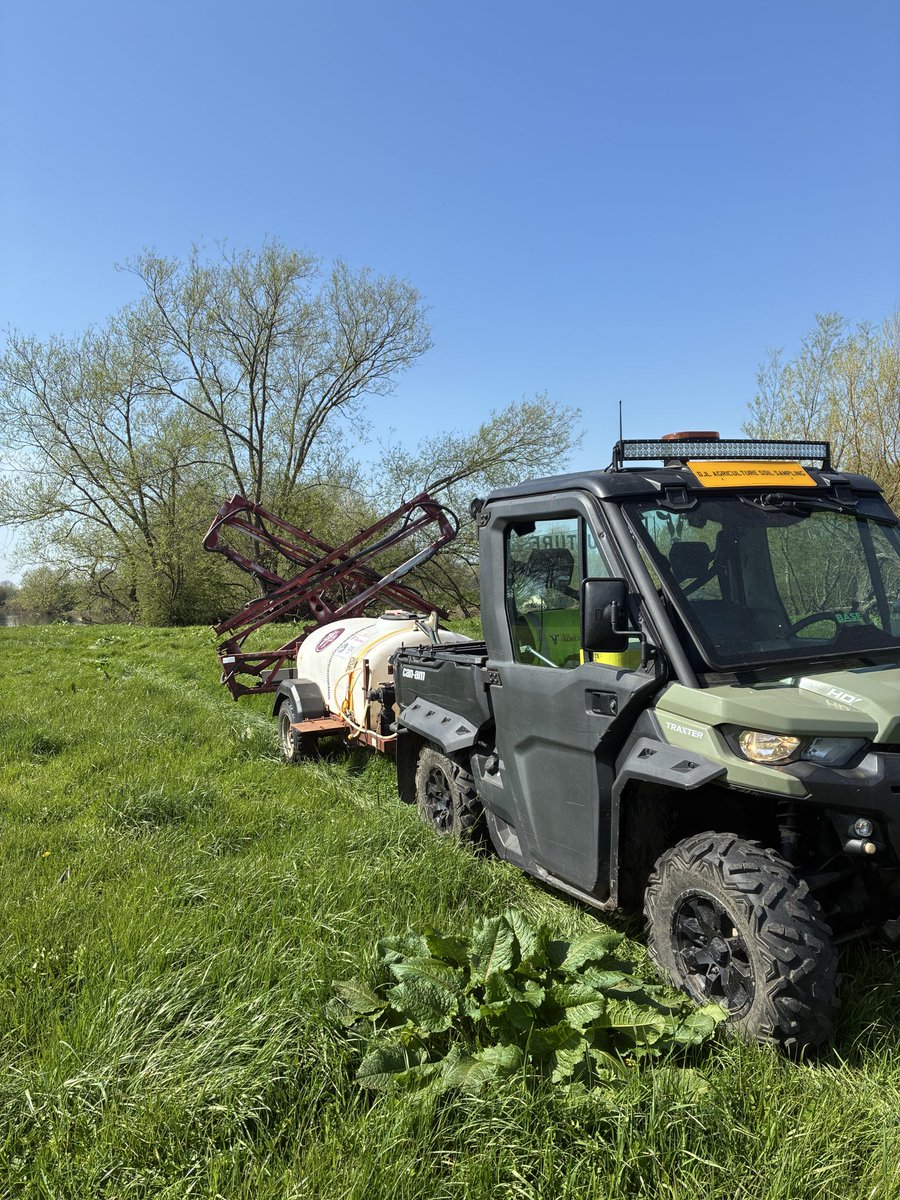 DJLAmenity's tweet photo. A bit more herbicide spraying in grass week. Treating docks #weeds #herbicide #spraying 

https://t.co/IxbaSdY1kE 
📞 01283 358057 

#supply and #apply 👍🏼🚛 https://t.co/oCQh5DoI8x