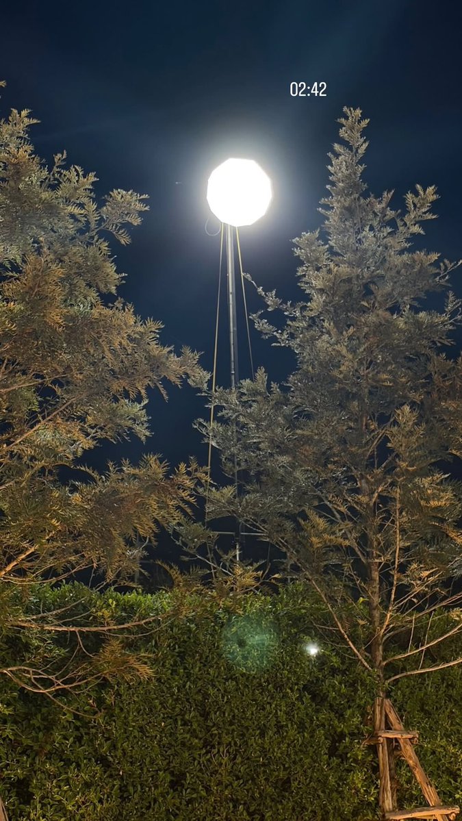 mama bear 🧸🍯 tweet media