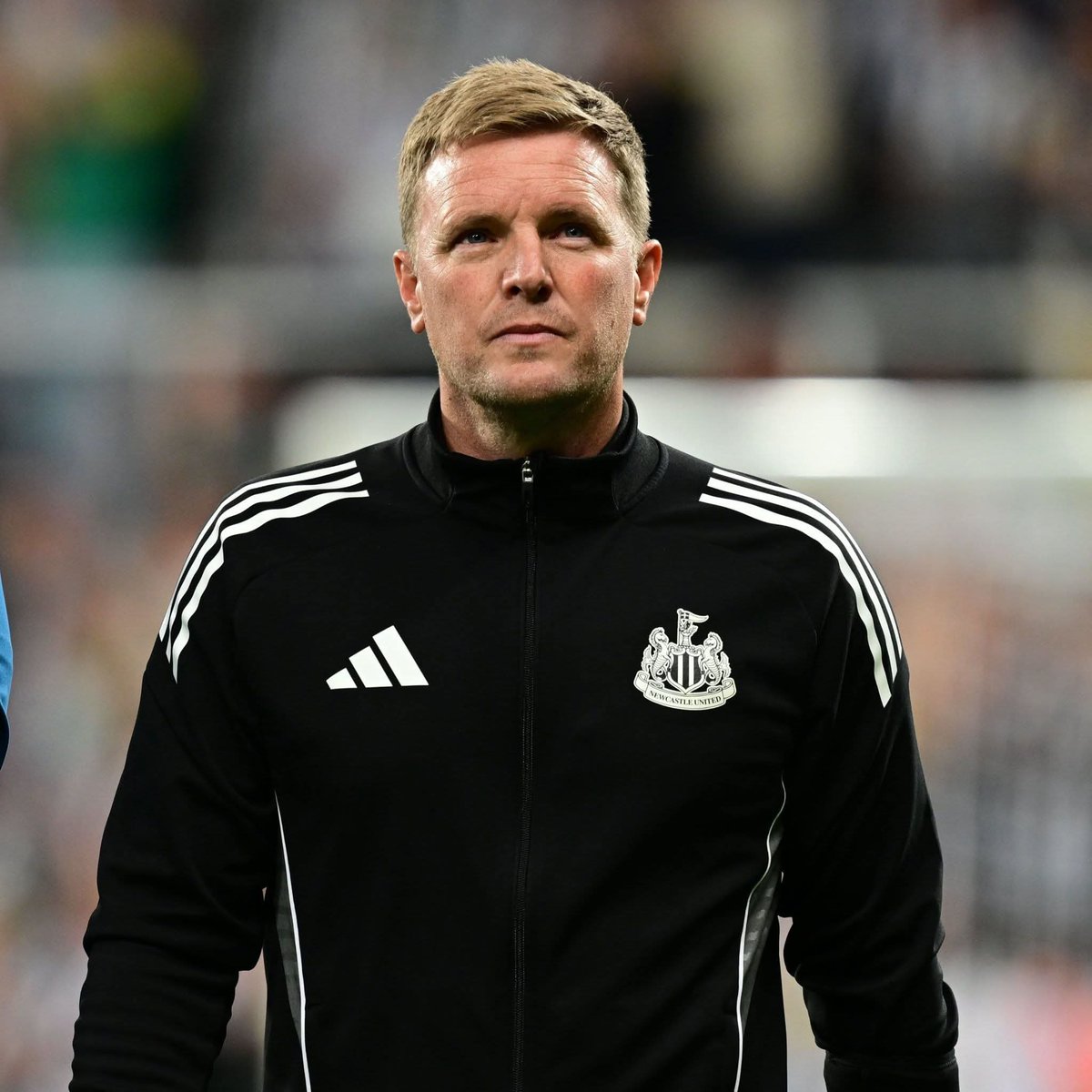 Magpie 24/7 tweet media