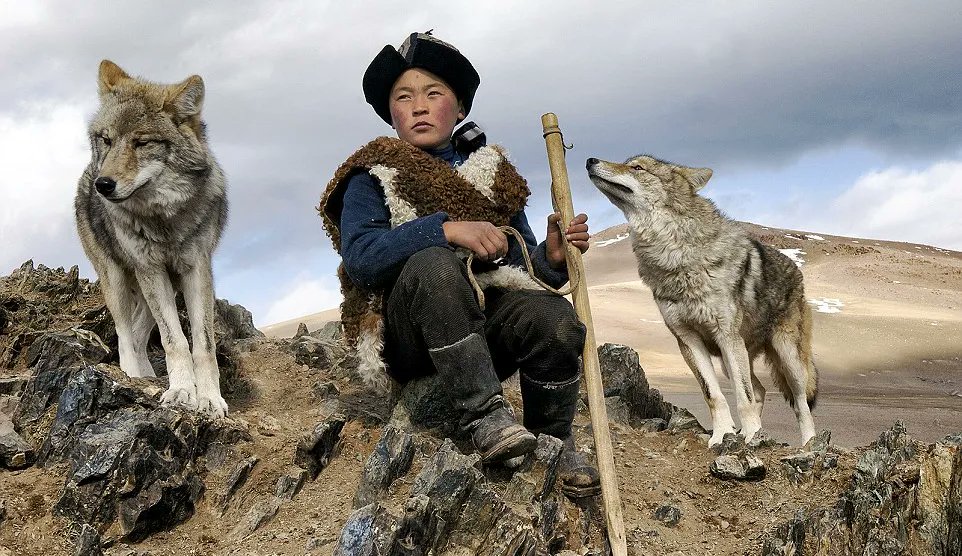 Sema Başavcı tweet media