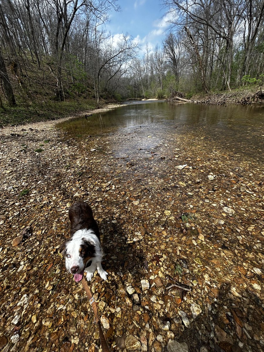 middlechildhell's tweet image. #springtime #easter #blessedlife #grateful