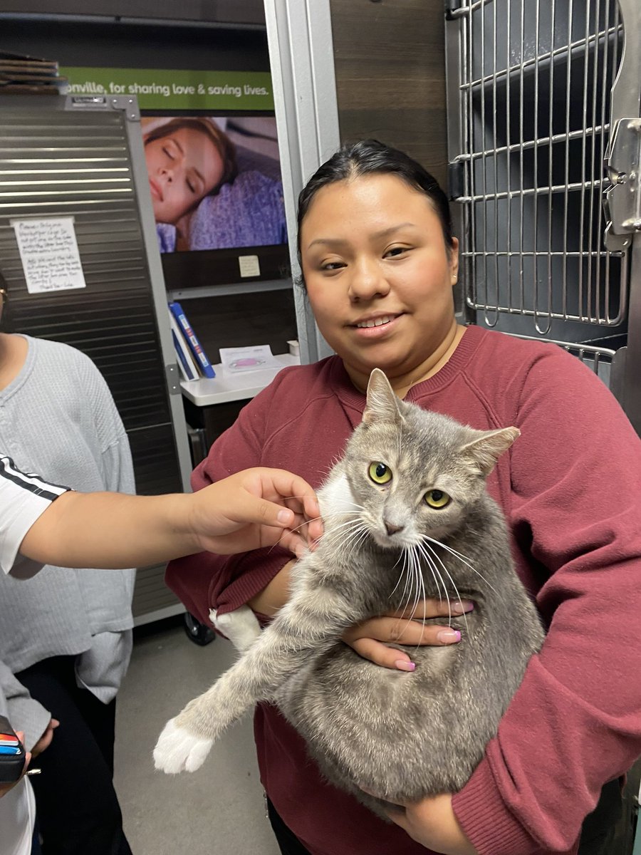 FeralCatProgramGA tweet media