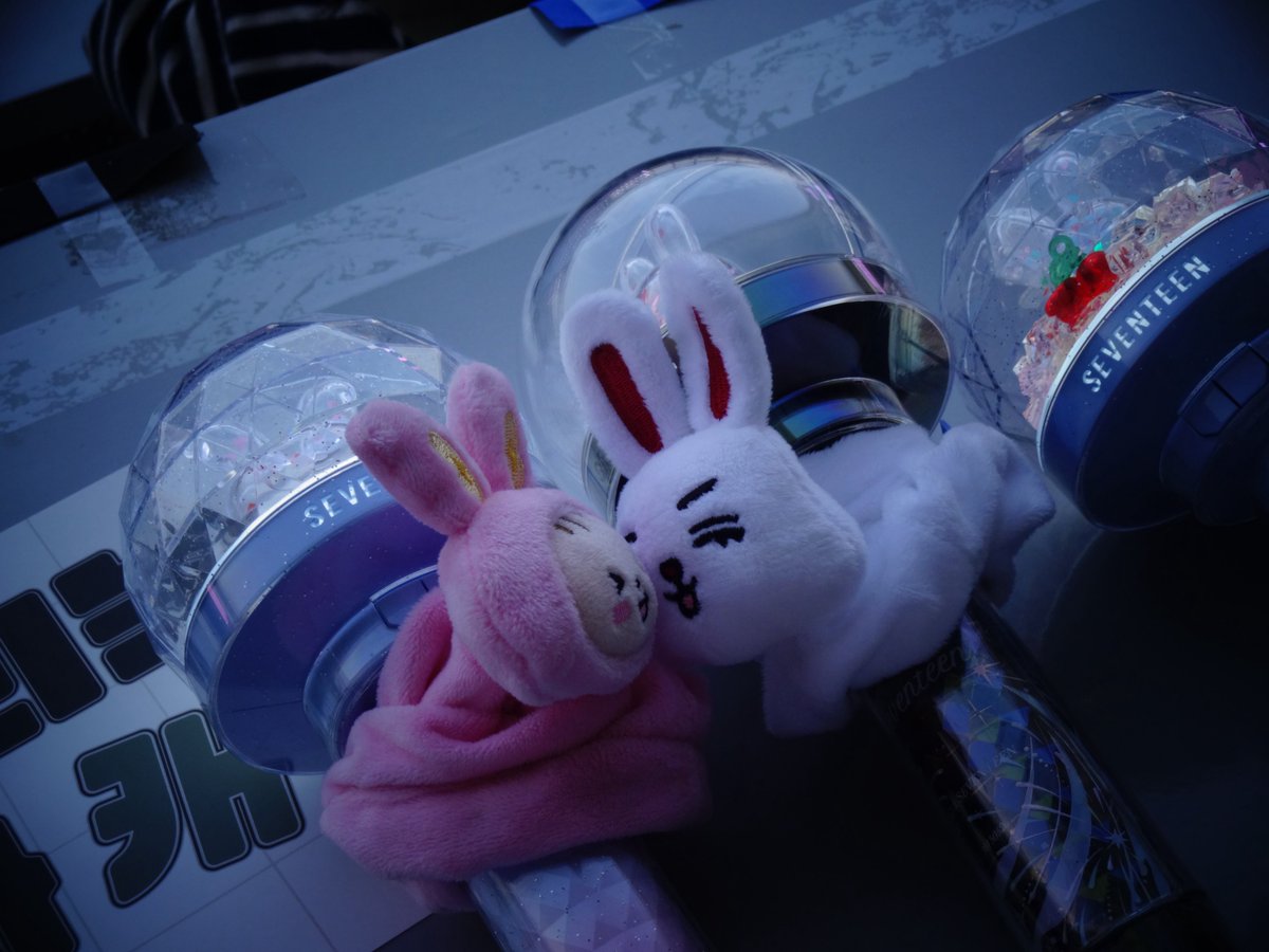 쿱정012 tweet media