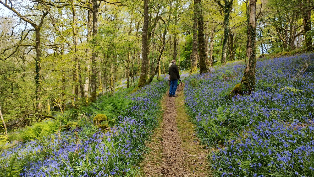 Children's books by John Patience tweet media