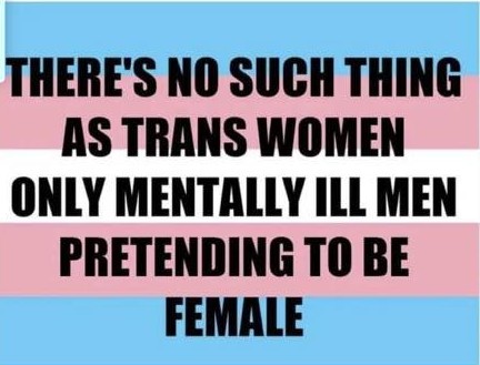 Monika Katarinčič tweet media