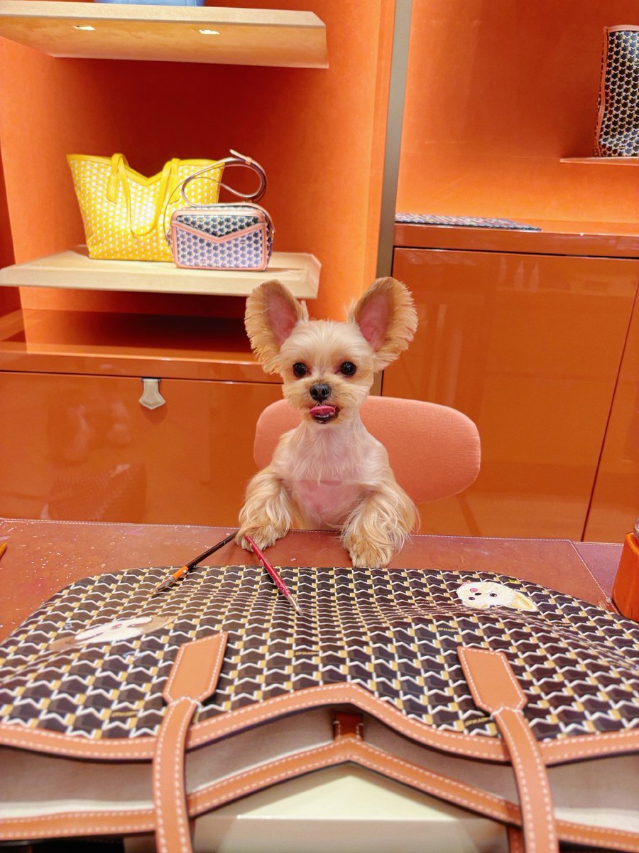 Planet Photos tweet media