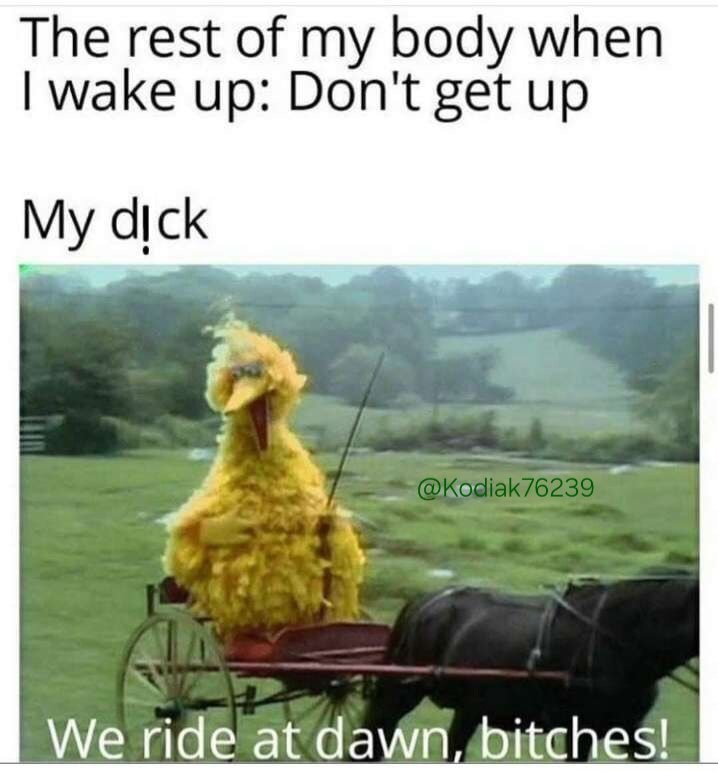 Kodiak76239 tweet media