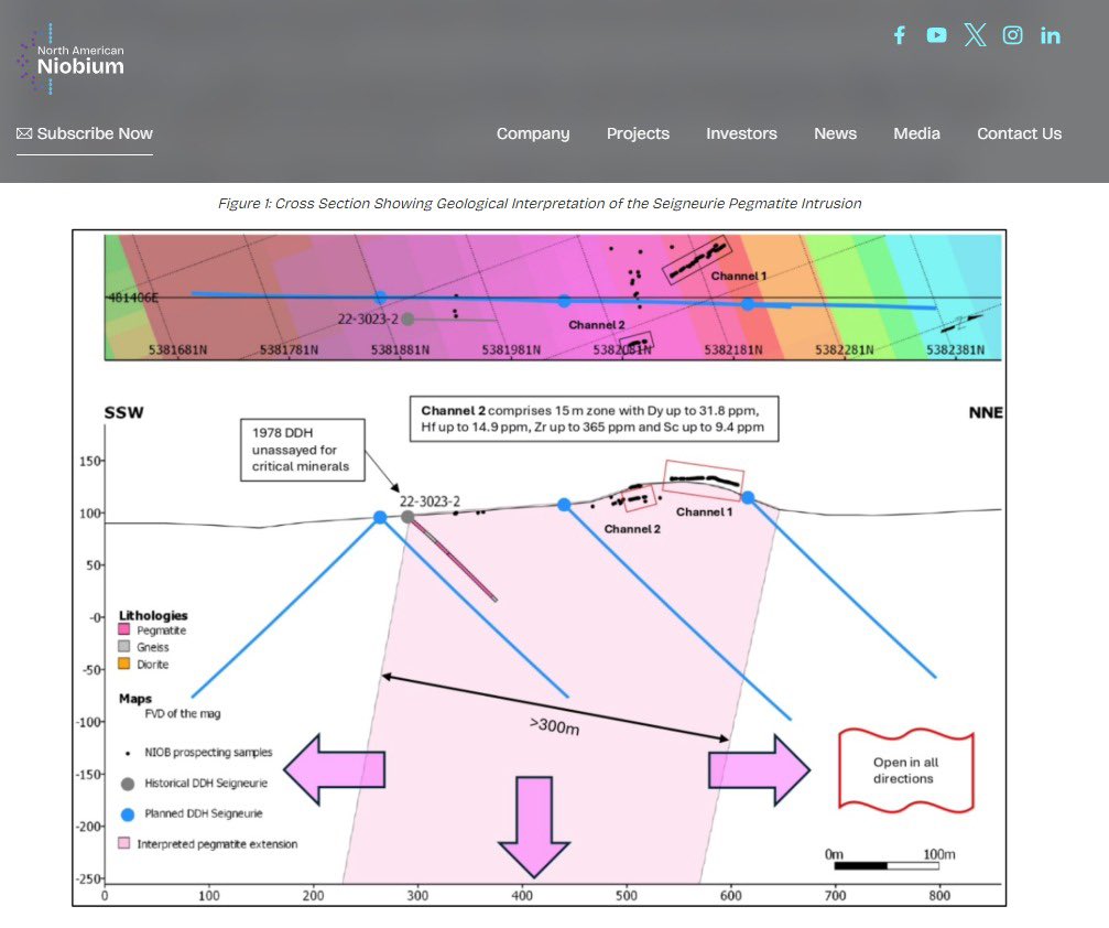 JohnFahmyGold's tweet photo. $NIOB $NIOB.CN $NIOMF Seigneurie cross-section confirms a 300m+ pegmatite open in all directions. Channel samples returning Dy, Hf, Zr, Sc alongside niobium — full critical minerals suite in Quebec. Historic ‘78 core never assayed for these elements, so there’s upside already sitting in the core shack. Drills turning now to test depth. 

The red is the historic hole, blue is what is currently being drilled. You can tell there that we are in the right system and rock.