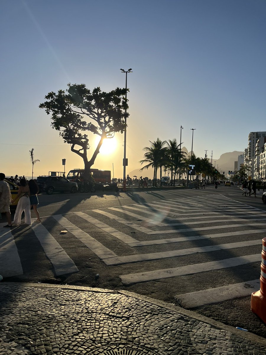 Flavio Garage tweet media