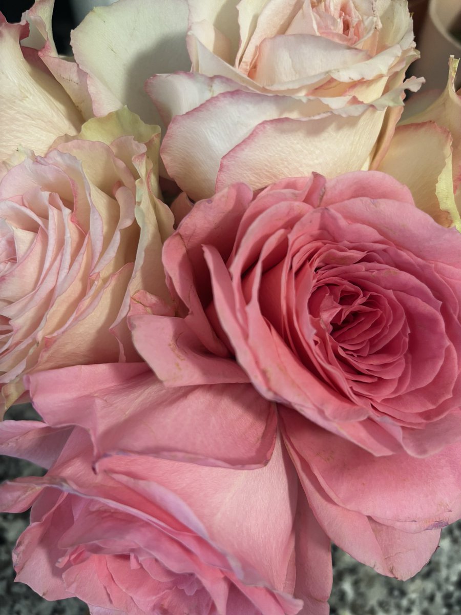 ℜ𝔞𝔦𝔫𝔥𝔞 🪅 tweet media