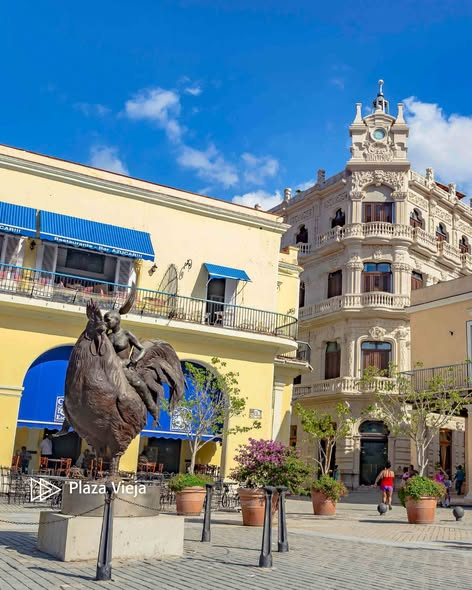 MinturCuba's tweet photo. 🏛️✨Sabías que La Habana fusiona lo colonial y lo moderno? Descubre estos 4 imperdibles históricos: 🏛️✨ Plaza Vieja, ⛪️ La Catedral, 🏛️ El Capitolio, 🌳🚶‍♂️  y siente la brisa marina en el Malecón 🌊🌬️ ¡Vive La Habana! 🌊🌬️

#CubaUnica #Cubatravel #LaHabanaTravel https://t.co/NVKeimgtYd