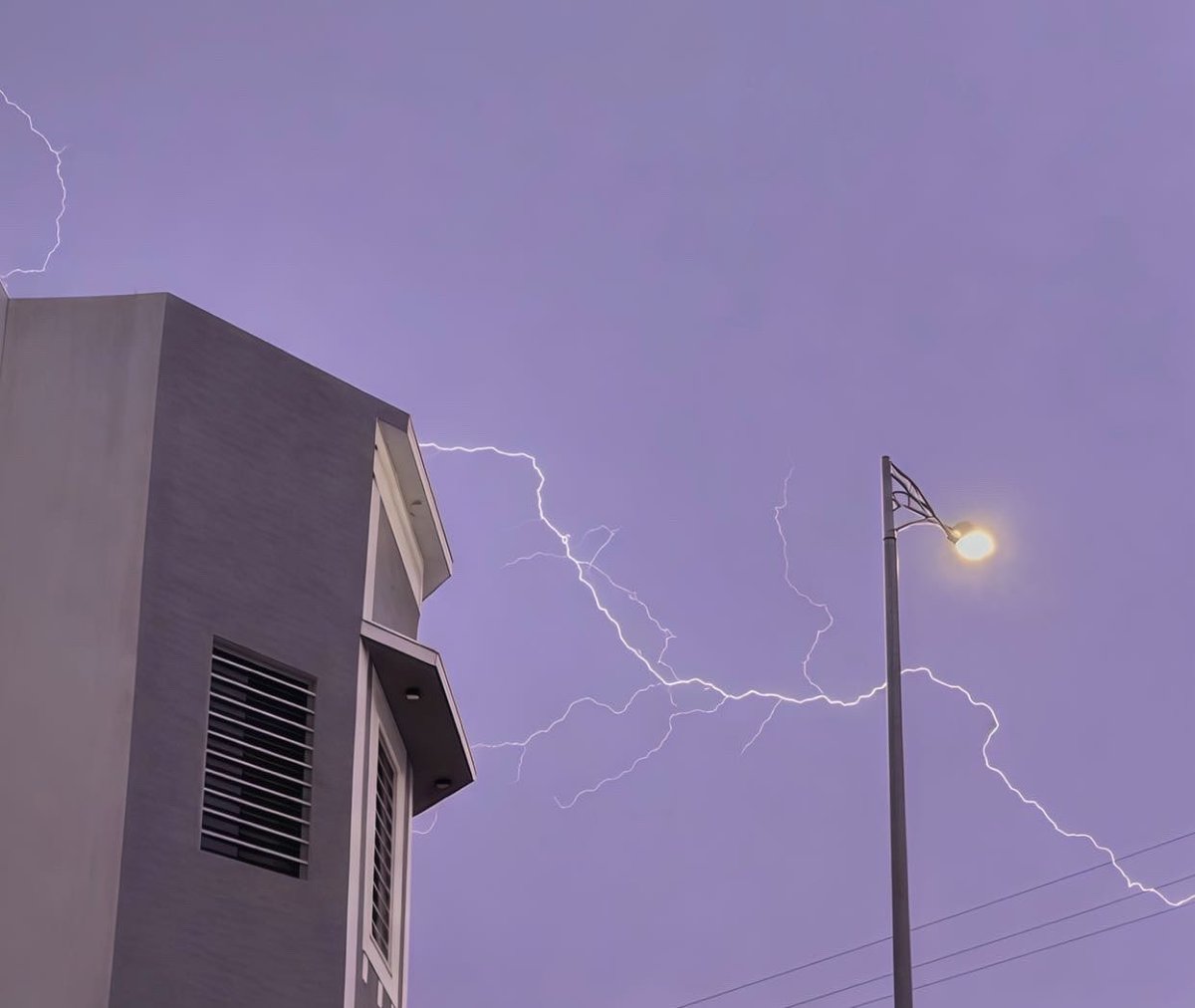 المليحةُ التي أشقَتها الحياة tweet media