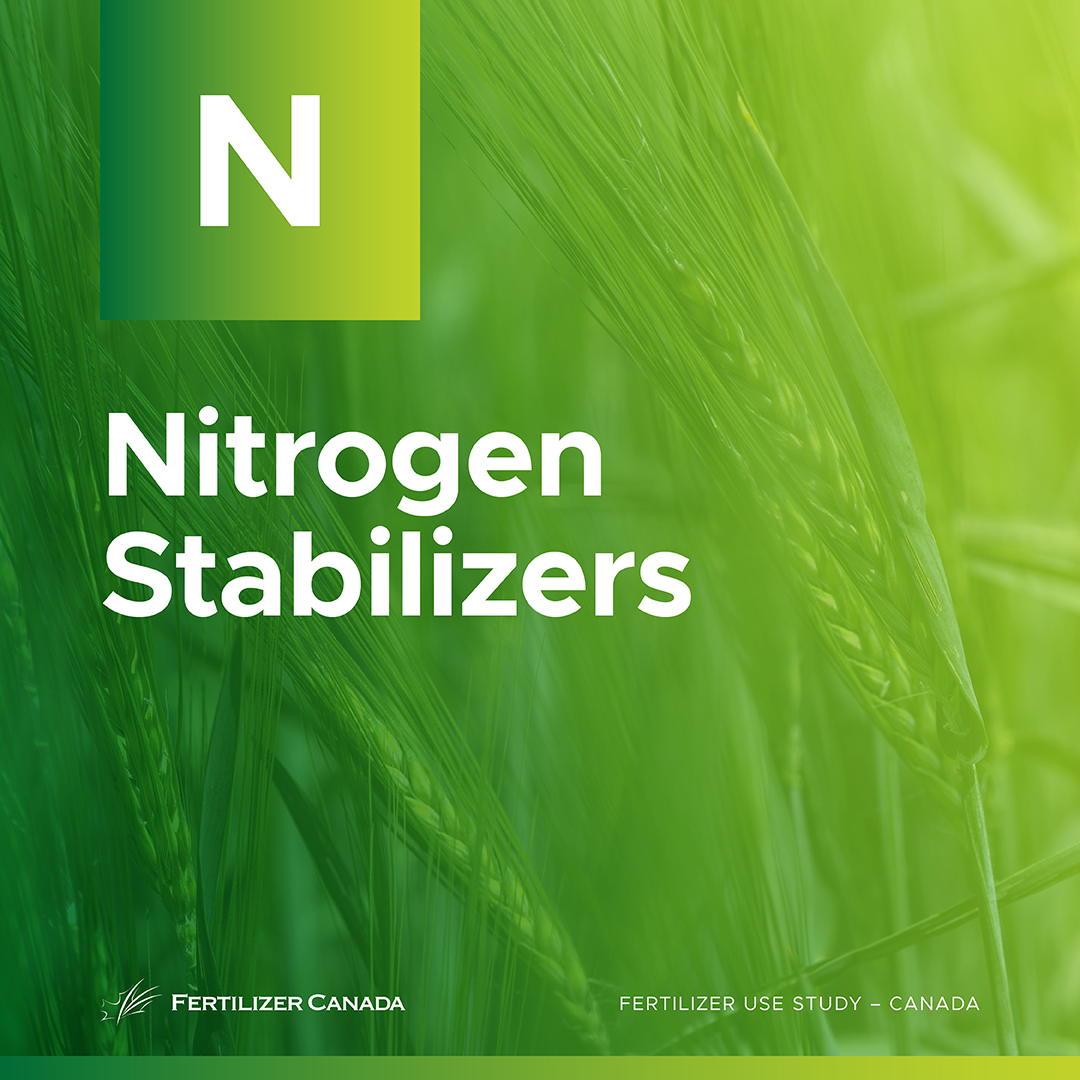 Between 2023 and 2024, nitrogen stabilizer use on feed barley rose from just 2.5% to nearly 38%.

This shift indicates growing interest in practices that keep nutrients in the soil, improve efficiency and reduce environmental impact.

Learn more: fertilizercanada.ca/wp-content/upl…