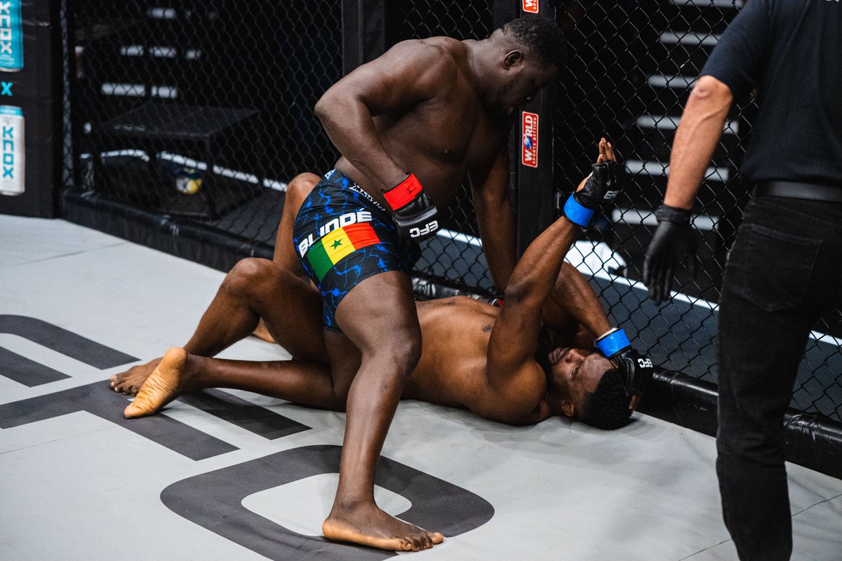 EFC Worldwide tweet media