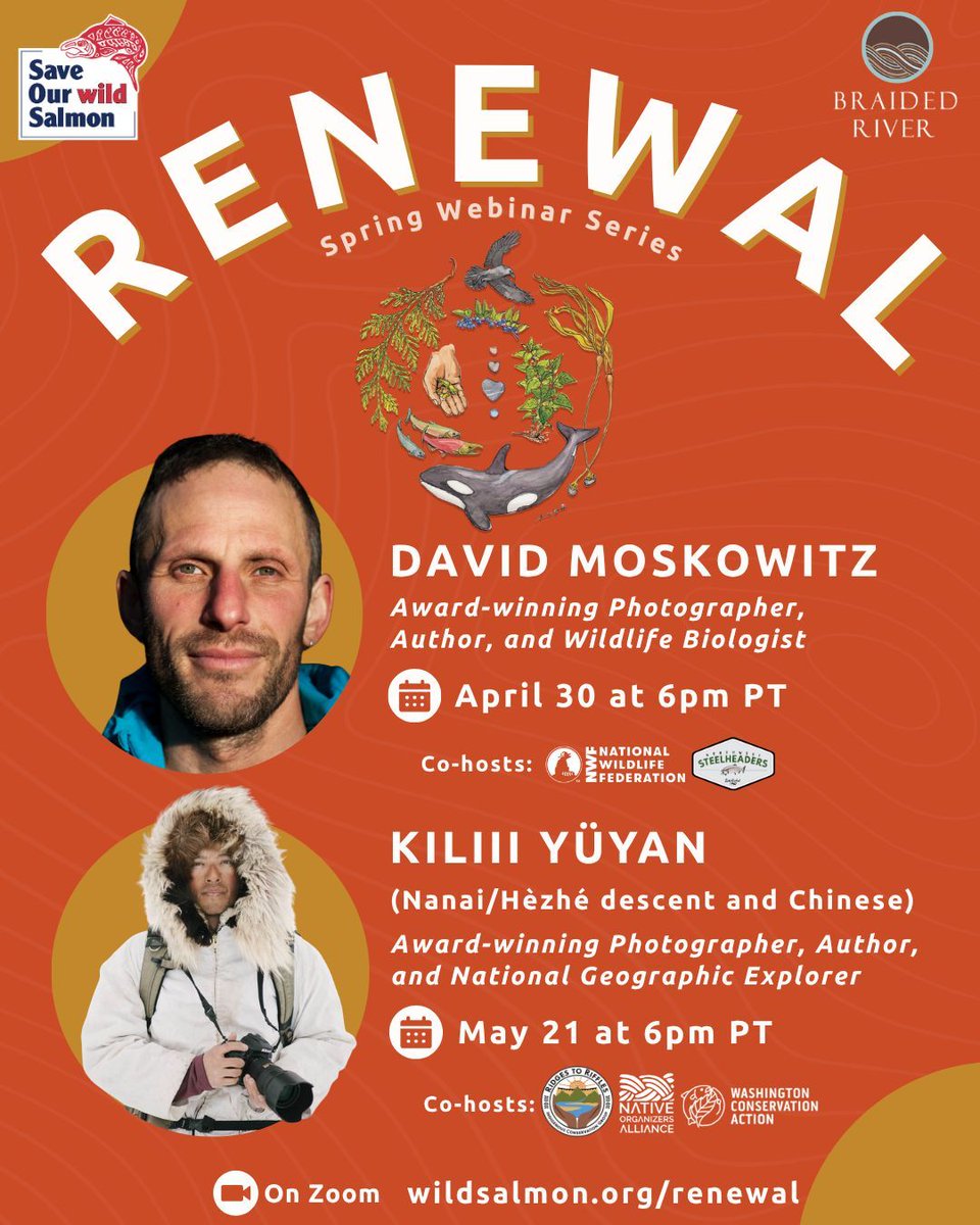 savewildsalmon's tweet photo. 🎉 You’re invited to the RENEWAL spring webinar series! Join us on April 30 and May 21 to renew and reimagine our commitment to each other, our non-human neighbors, and the special places we all call home! 
🐟 Learn more &amp; register at https://t.co/ANOYTQcjWS https://t.co/GxLr2GR1a4