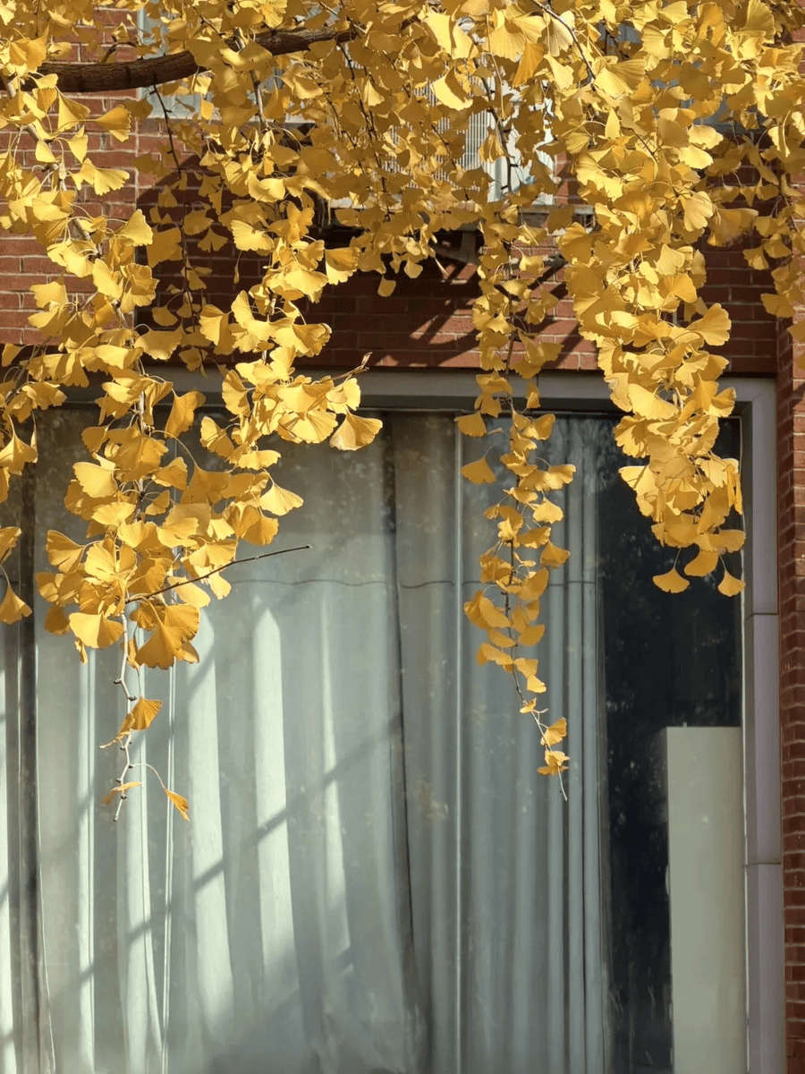 FILOU Alain tweet media