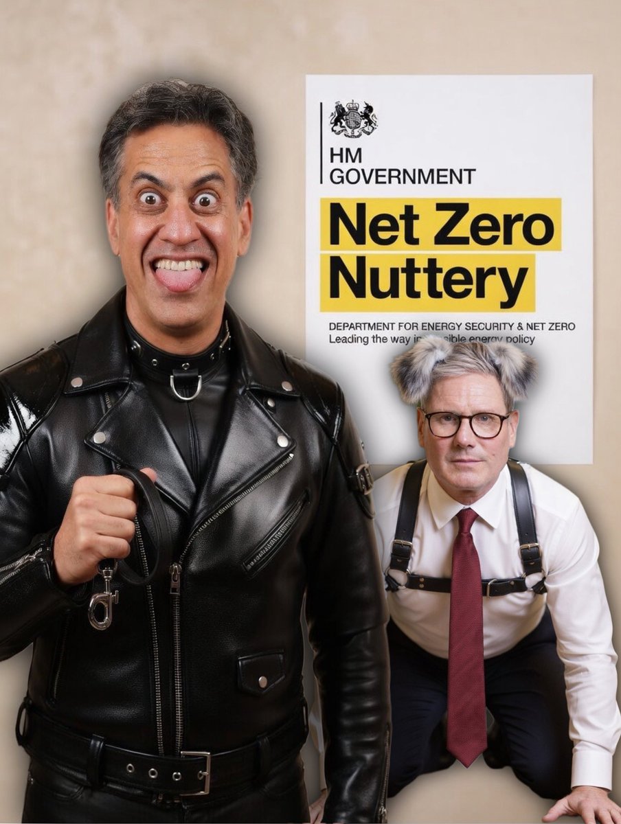 Darren Grimes tweet media