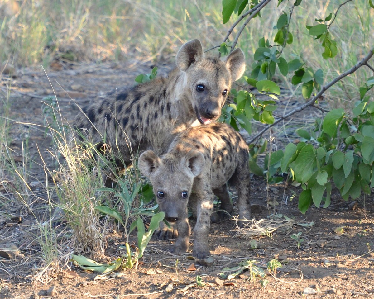 HourlyYeen tweet media