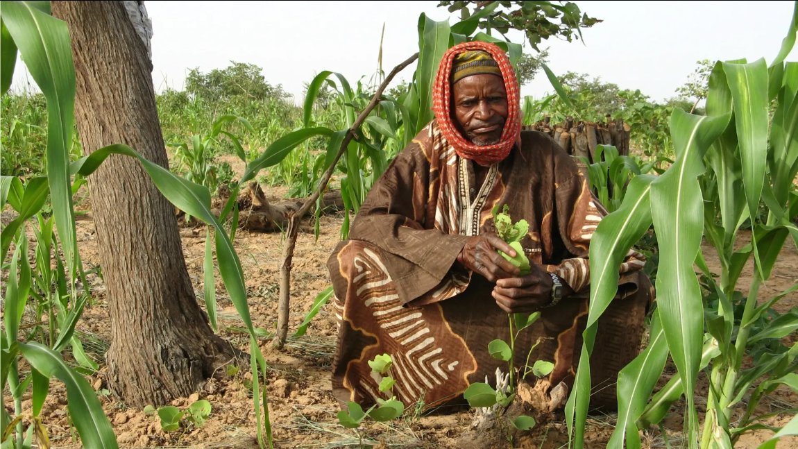Center for Food Safety and Agricultural Research tweet media