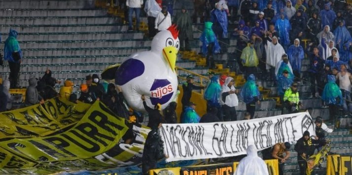 🄵 🄴 🅁 🄽 🄰 🄽 🄳 🄾 tweet media