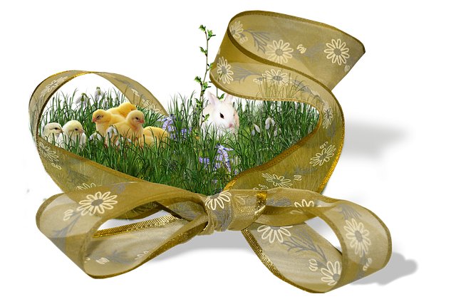 Cassandra Patton tweet media