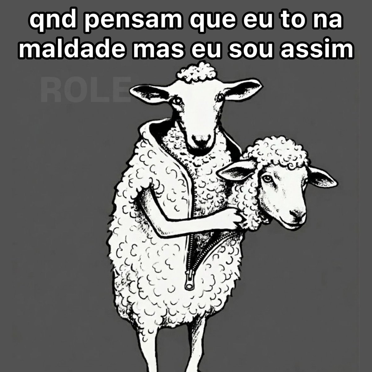 Rolê Aleatório tweet media