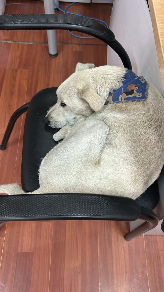 ATENCIÓN 📢📢
Comparto la lista de animalitos de <a href="/lacentralec/">Universidad Central del Ecuador</a> que quieren desaparecer las autoridades.
No lo vamos a permitir señor rector <a href="/EspinosaRector/">Dr.Patricio Espinosa</a>
RT <a href="/AVAstudillo/">Alberto Astudillo B.</a> <a href="/LoroHomero/">Jorge Yunda Machado</a>