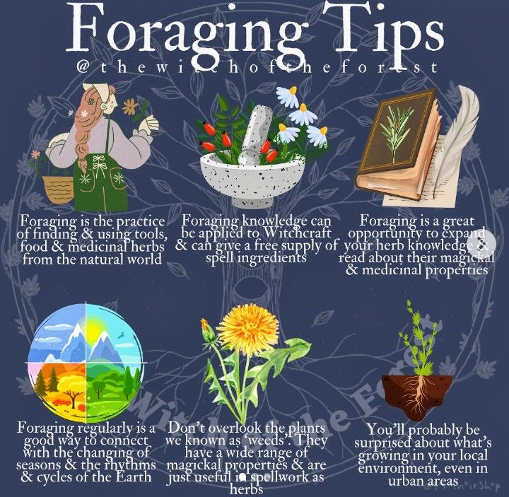 SubRosaMagick's tweet image. Visit my #Etsyshop
Psychic Readings, Books, Vintage &amp;amp; more!
subrosamagick.etsy.com
#wicca #witchcraft #witchtwt #witchtwtpl #witchesoftwitter #magick #Occult #witchlifestyle #witches #seasonofthewitch #witchtwitter #witchythings #Pagan #BlessedBe #FolkloreThursday #Foraging