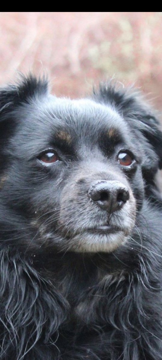 PiPi 💅 #silnaosobno tweet media