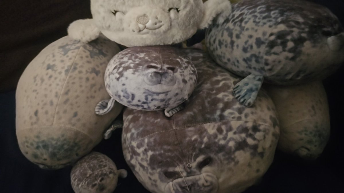 7th year: alma 🦭 Stick With You tweet media