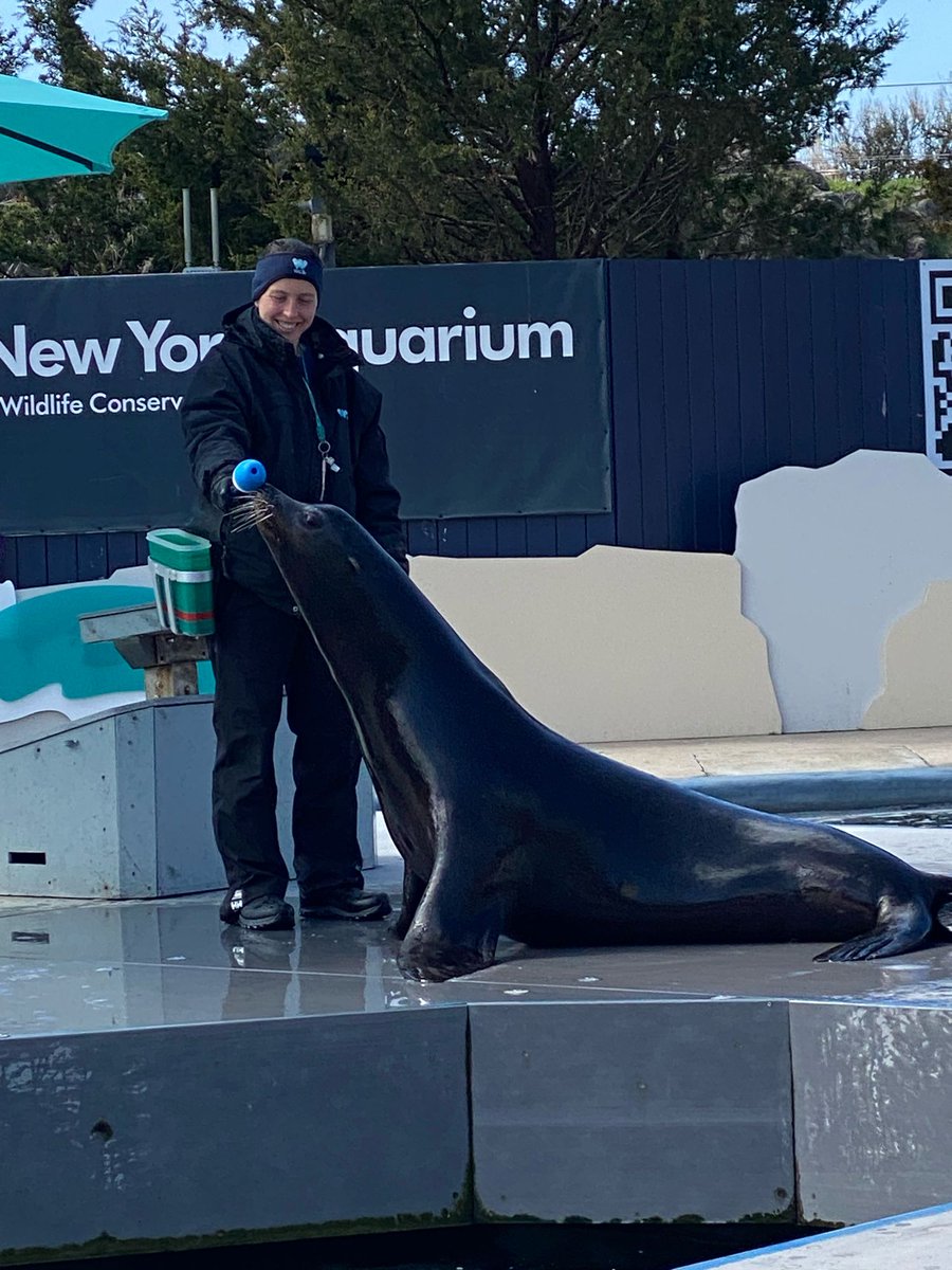 Council Member Susan Zhuang tweet media