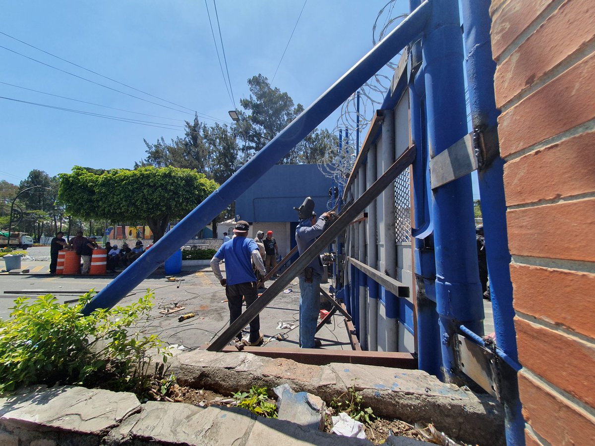 Andrea Domínguez tweet media