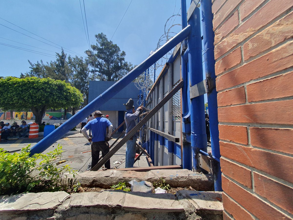 Andrea Domínguez tweet media