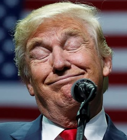 жозефина бонапард tweet media