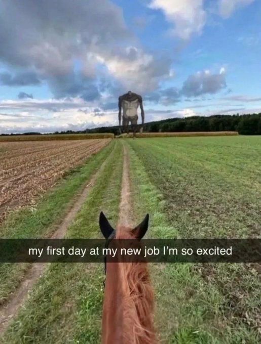 horse dentist tweet media